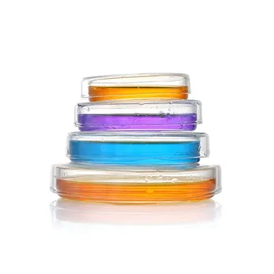 Laboratorijska staklena Petrijeva zdjelica 60 mm 90 mm 100 mm Posuda za stanične kulture s poklopcima